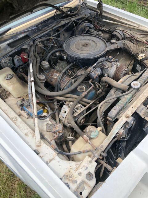 1981 Dodge Mirada - photo 11