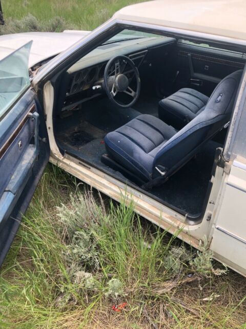 1981 Dodge Mirada - photo 6