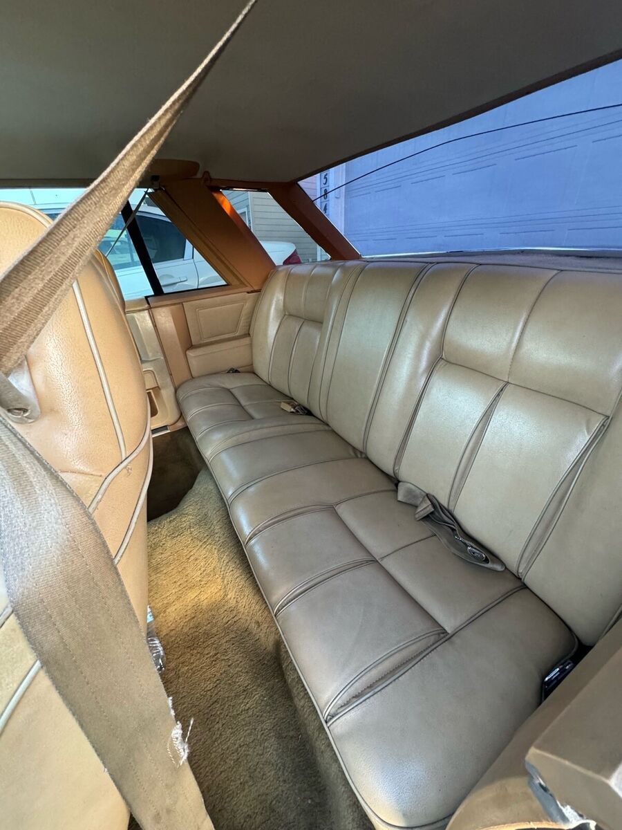 1981 Dodge Mirada - photo 5
