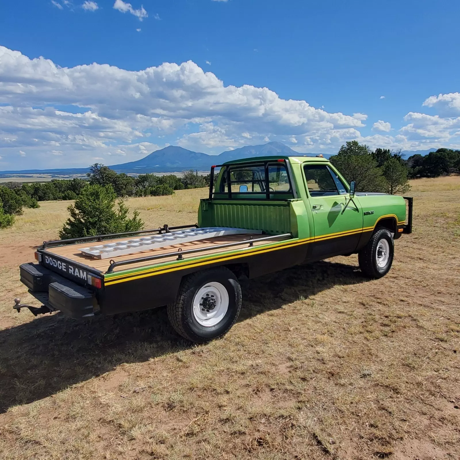 1981 Dodge Other Pickups