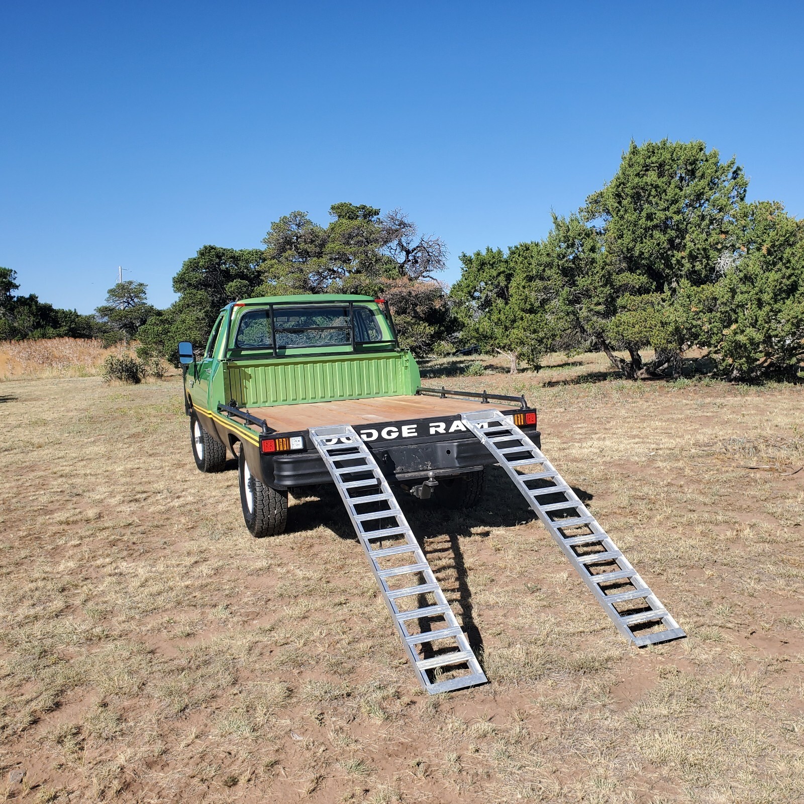 1981 Dodge Other Pickups - photo 8
