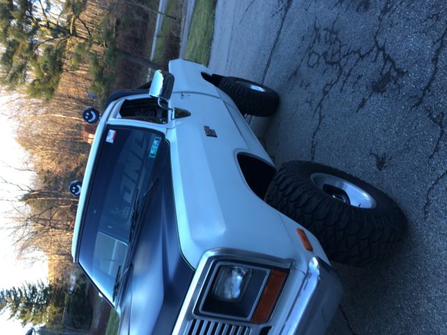 1981 Dodge Other Pickups Base Standard Cab Pickup 2-Door - photo 2