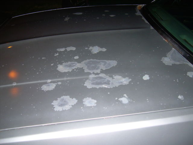 1981 Chevrolet El Camino - photo 10
