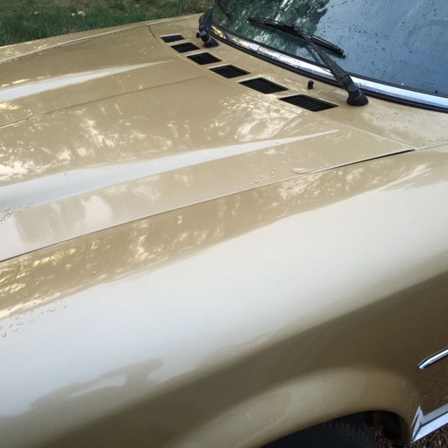1981 Fiat Other - photo 12