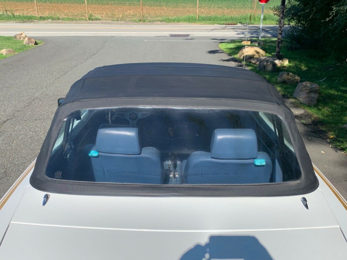 1981 Fiat 124 Spider Turbo - photo 13