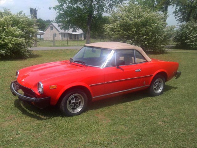 1981 Fiat Other - photo 10