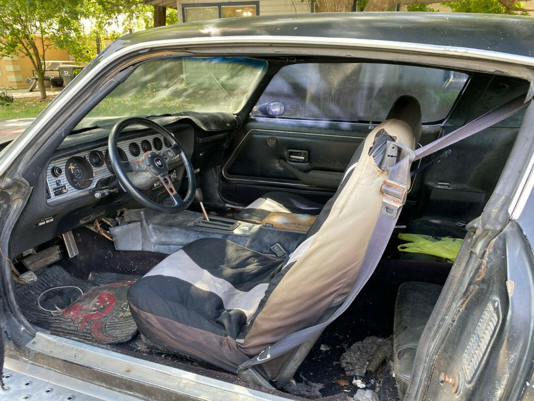 1981 Pontiac Firebird Formula - photo 6
