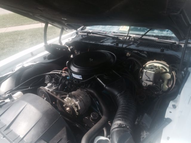 1981 Pontiac Firebird Formula - photo 11