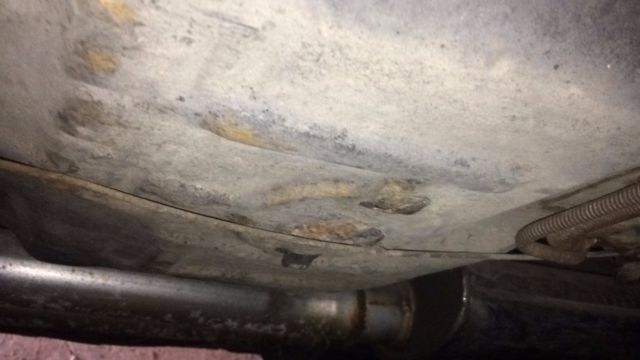 1981 Pontiac Firebird - photo 11