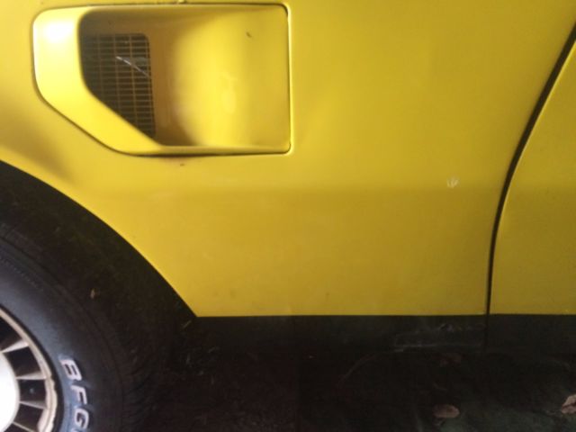 1981 Pontiac Firebird - photo 13