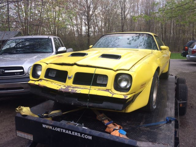 1981 Pontiac Firebird - photo 4