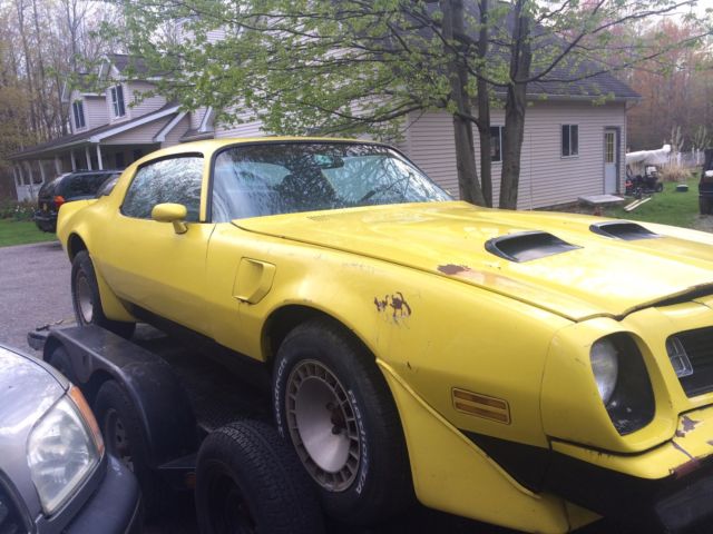 1981 Pontiac Firebird - photo 5