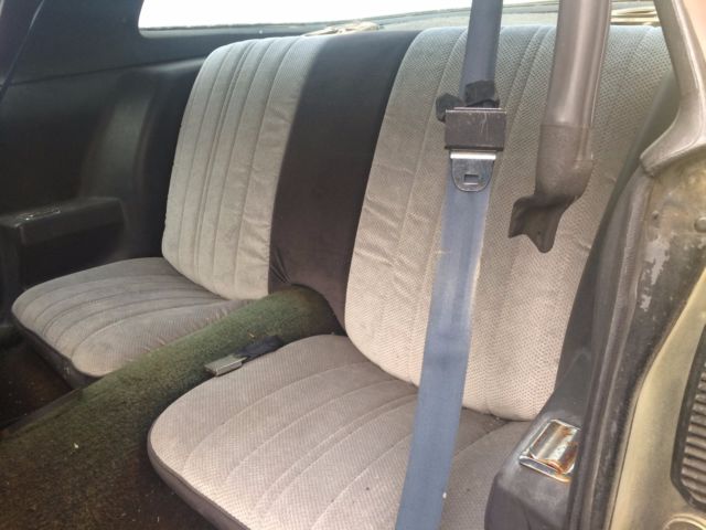 1981 Pontiac Firebird - photo 8