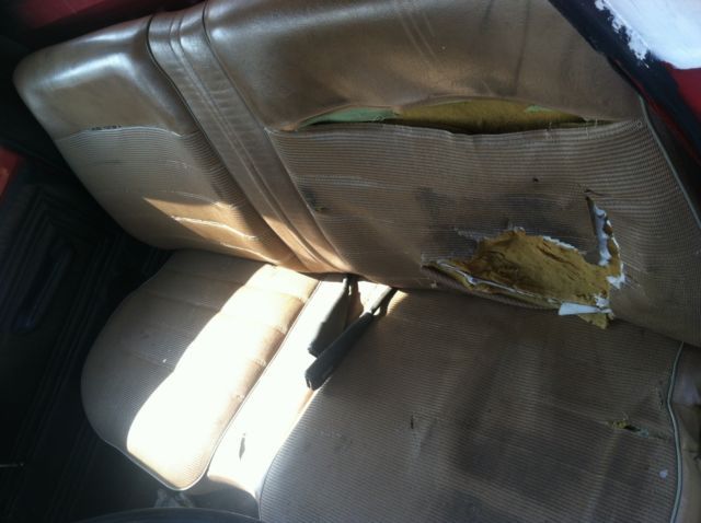 1981 Ford Other Pickups - photo 8