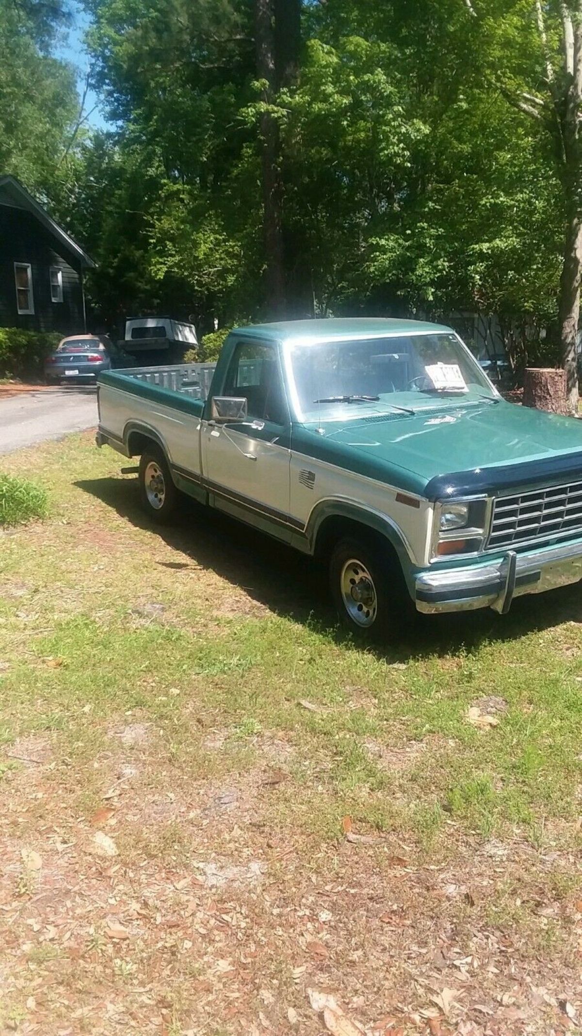 1981 Ford F-150 - photo 3