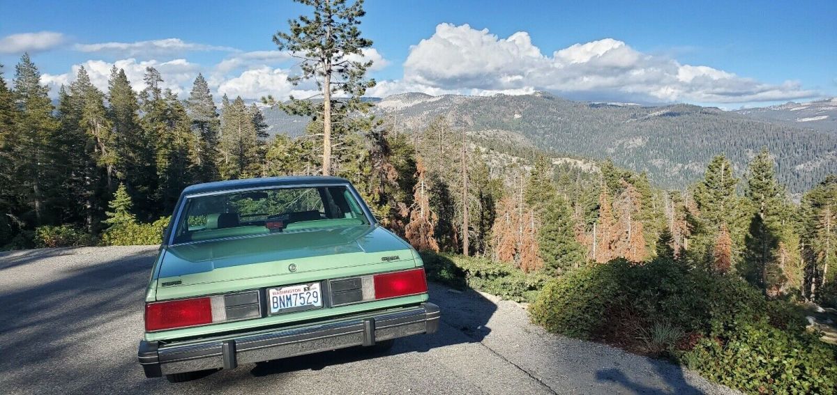 1981 Ford Granada - photo 3