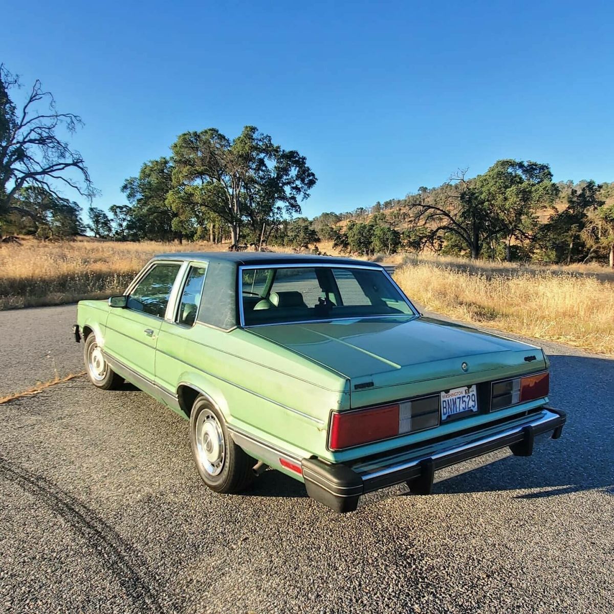 1981 Ford Granada - photo 9