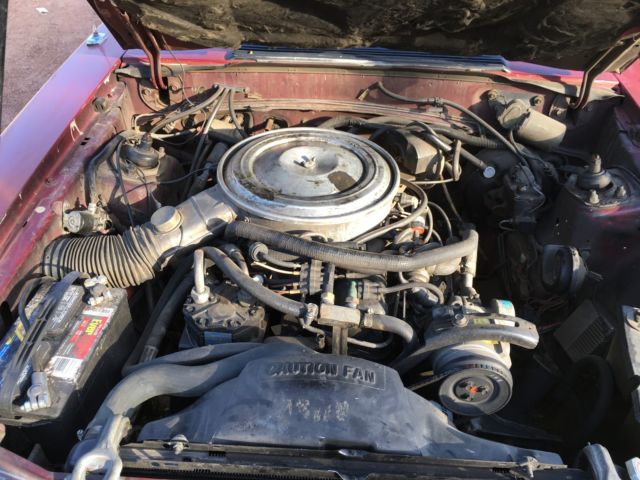 1981 Ford Mustang - photo 12