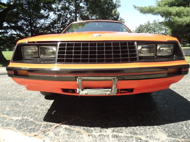 1981 Ford Mustang - photo 2