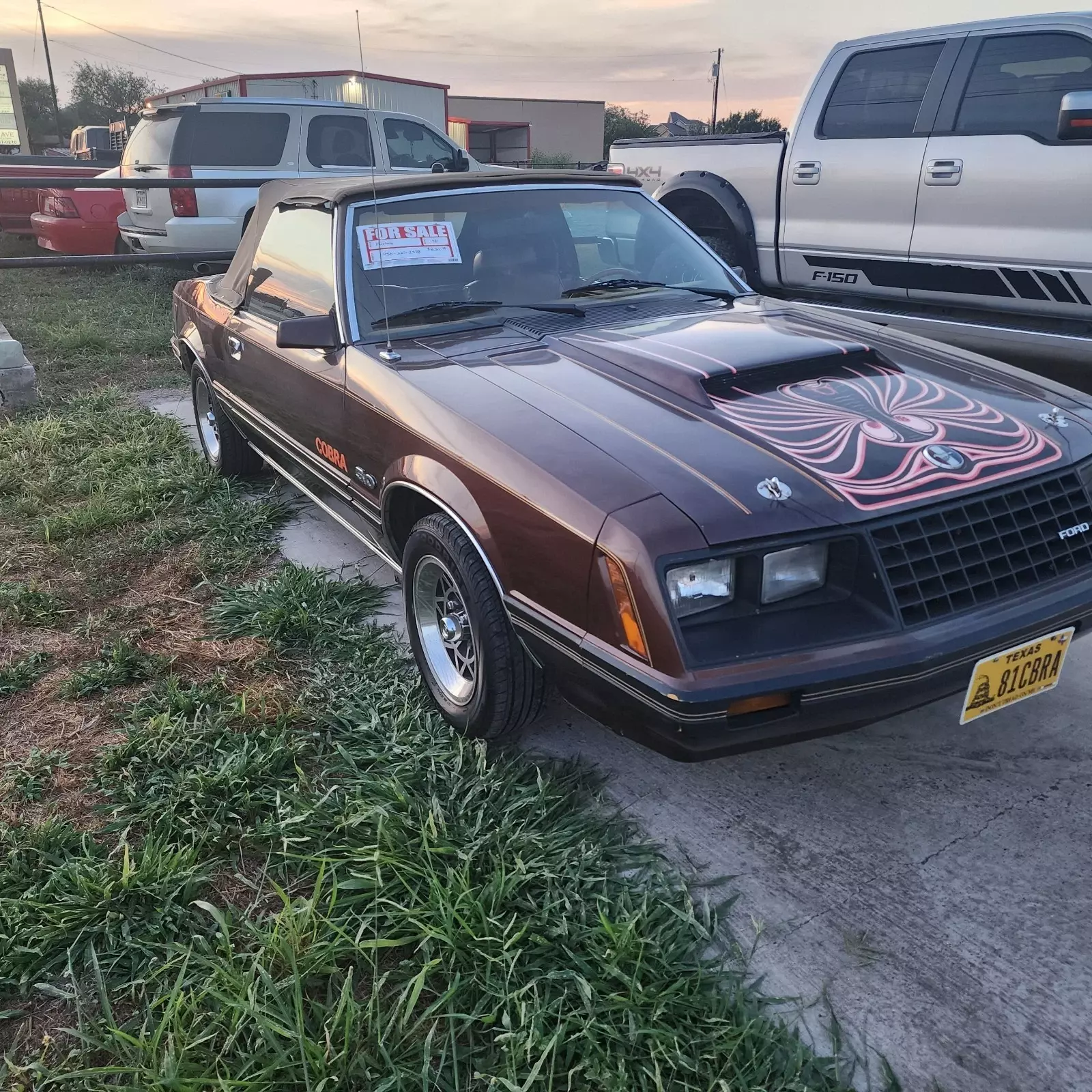 1981 Ford Mustang Sedan Brown GHIA 1981 Ford Mustang GHIA