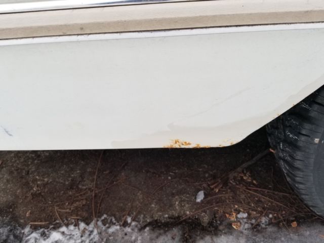1981 Ford Thunderbird 2 door - photo 2