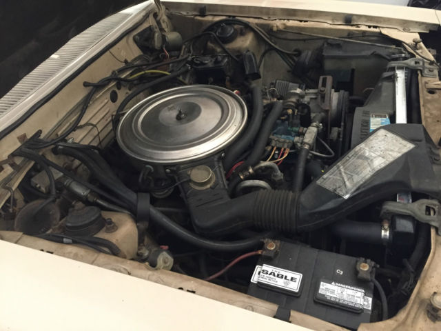 1981 Ford Thunderbird - photo 11