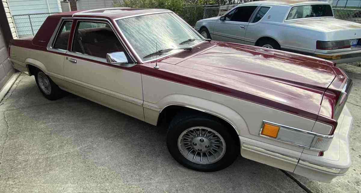 1981 Ford Thunderbird - photo 3