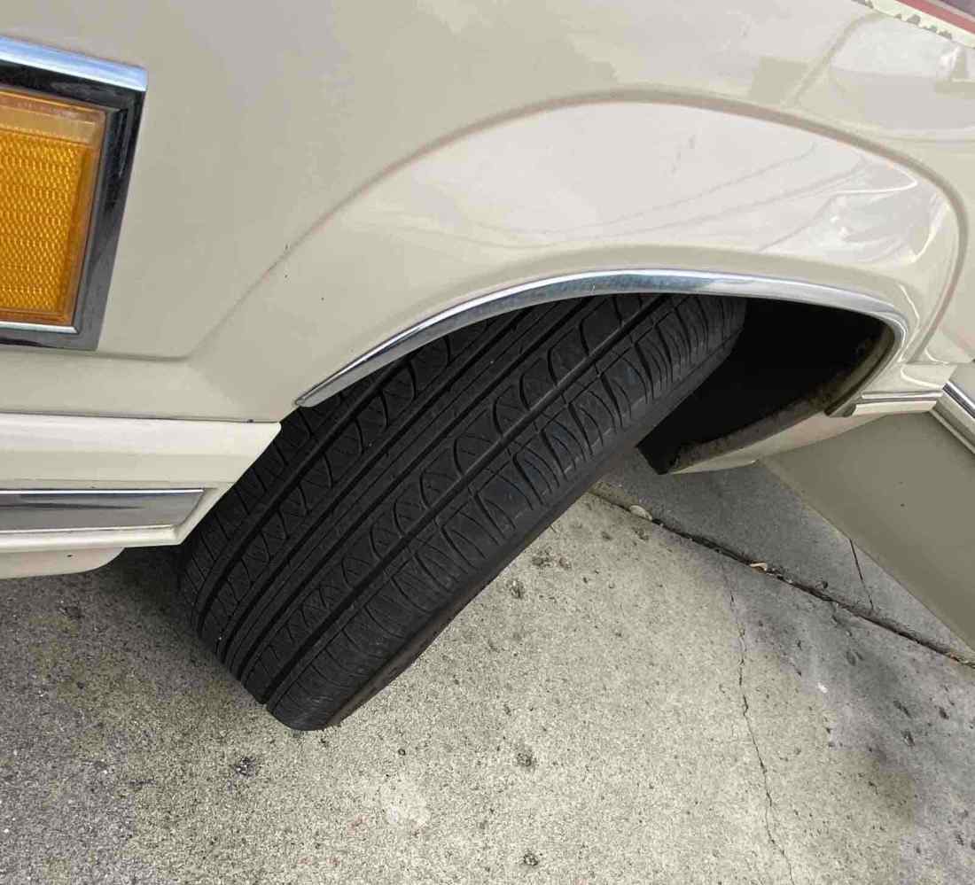 1981 Ford Thunderbird - photo 5