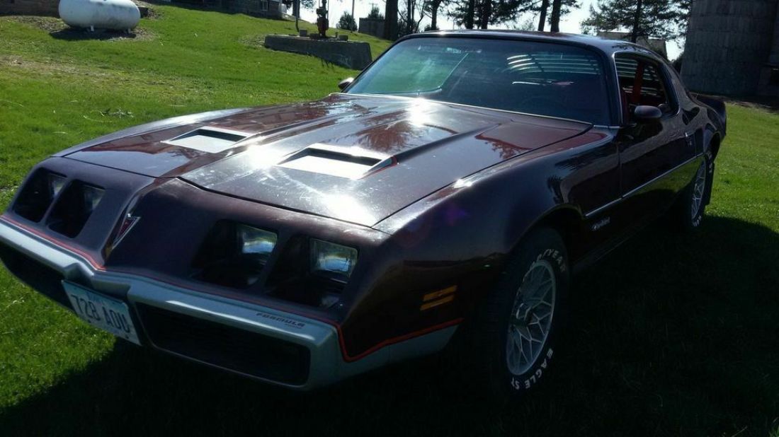 1981 Pontiac Firebird - photo 5