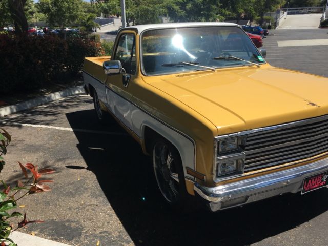 1981 GMC Sierra 1500 Sierra Classic Short Bed - photo 3