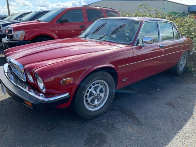 1981 Jaguar XJ6 - photo 3