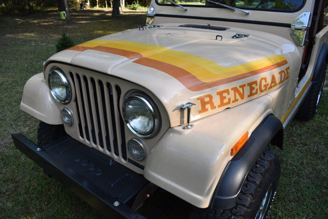 1981 Jeep CJ Renegade - photo 13