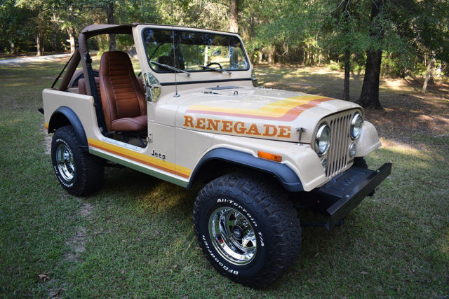 1981 Jeep CJ Renegade - photo 9