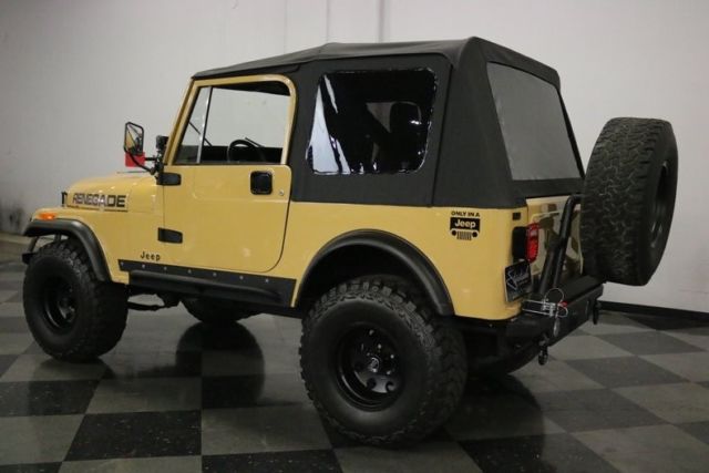 1981 Jeep CJ Renegade - photo 9