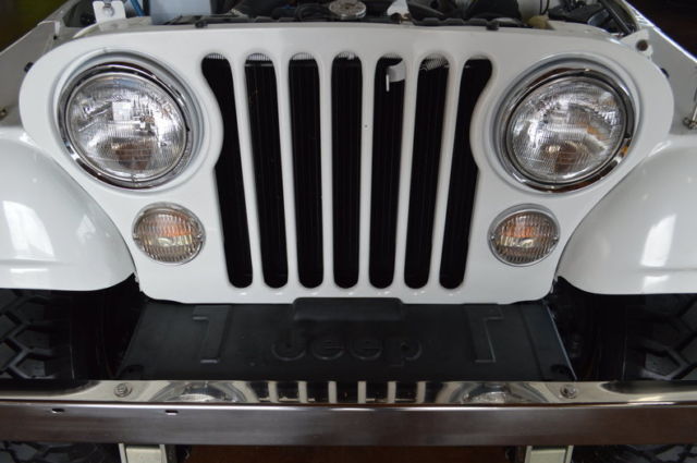 1981 Jeep CJ Renegade - photo 12