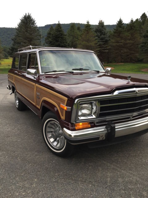 1981 Jeep Wagoneer Limited - photo 7