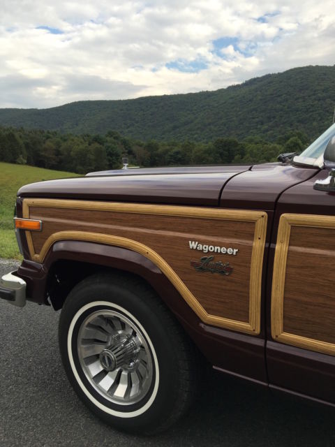 1981 Jeep Wagoneer Limited - photo 9
