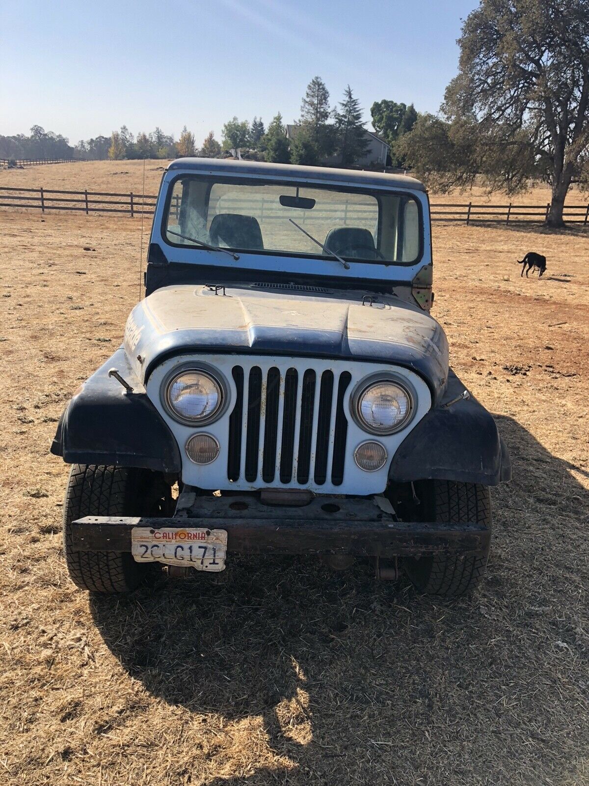 1981 Jeep Scrambler CJ8 - photo 2