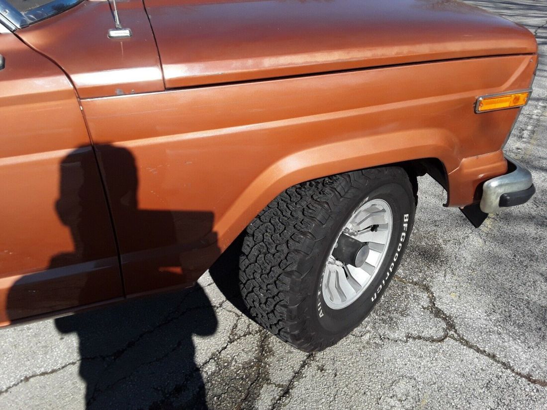 1981 Jeep Wagoneer - photo 6
