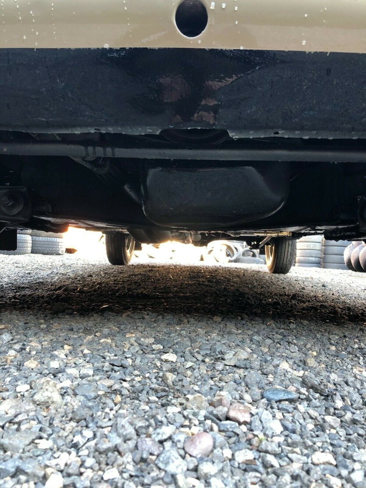 1981 Other Makes - photo 9