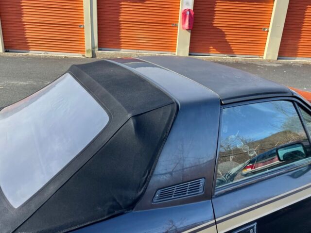 1981 Lancia Beta - photo 10