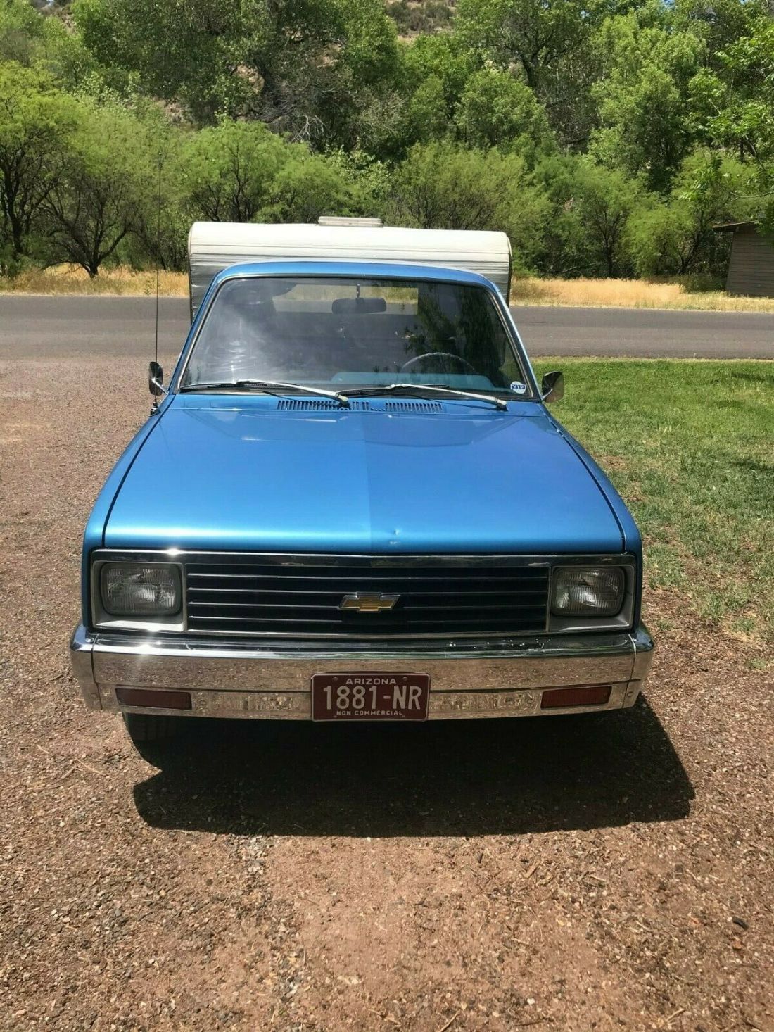 1981 Chevrolet Other Pickups - photo 10