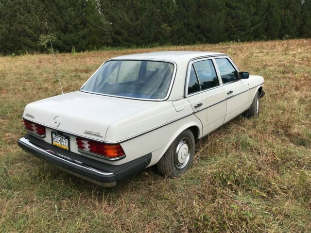 1981 Mercedes-Benz 300D - photo 2