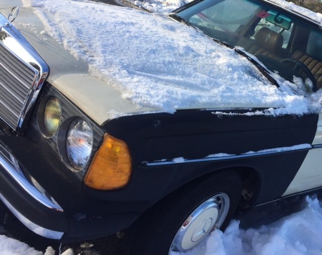 1981 Mercedes-Benz 300-Series leather - photo 9