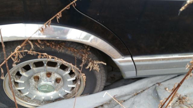 1981 Mercedes-Benz 300-Series 300SD - photo 8