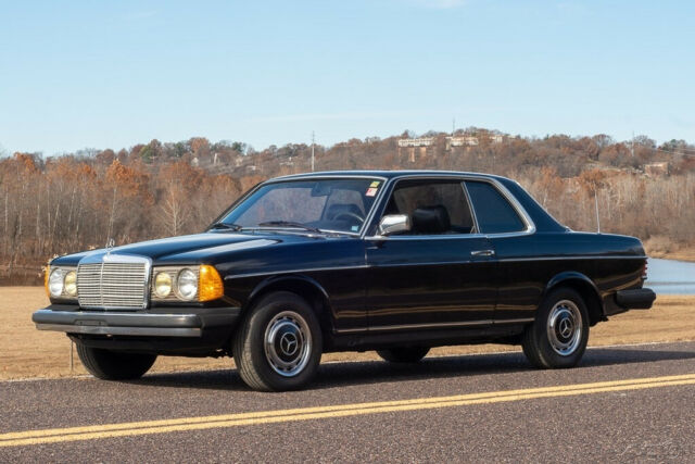 1981 Mercedes-Benz 200-Series 2 Dr - photo 12