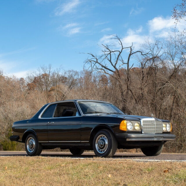 1981 Mercedes-Benz 200-Series 2 Dr - photo 2
