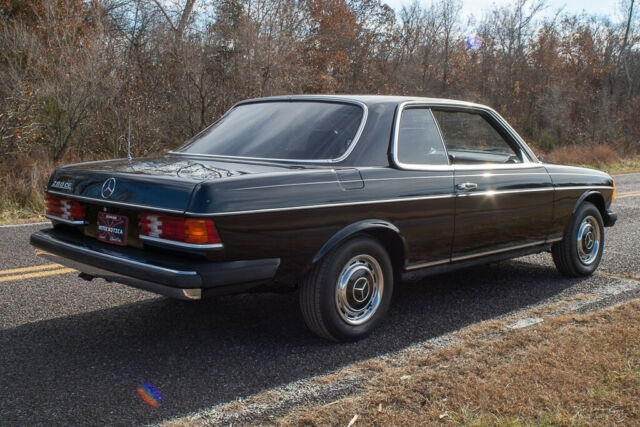 1981 Mercedes-Benz 200-Series 2 Dr - photo 6