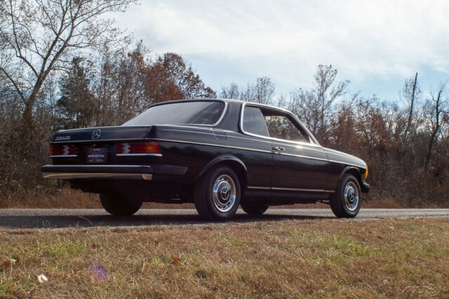 1981 Mercedes-Benz 200-Series 2 Dr - photo 7
