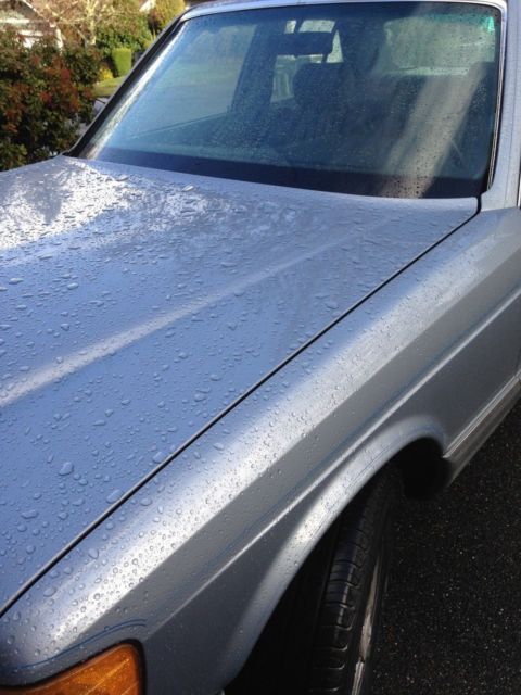 1981 Mercedes-Benz 300-Series 300 SD - photo 3